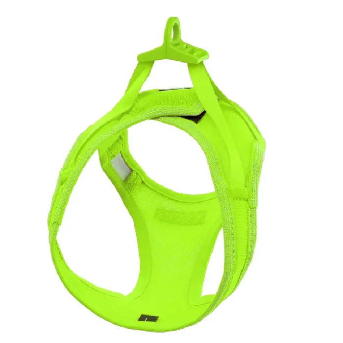 BayDog Liberty Bay Harness Key Lime Large back view