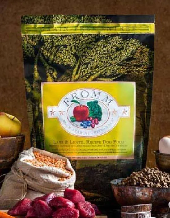 Fromm 4 Star GF Lamb/Lentil 4#