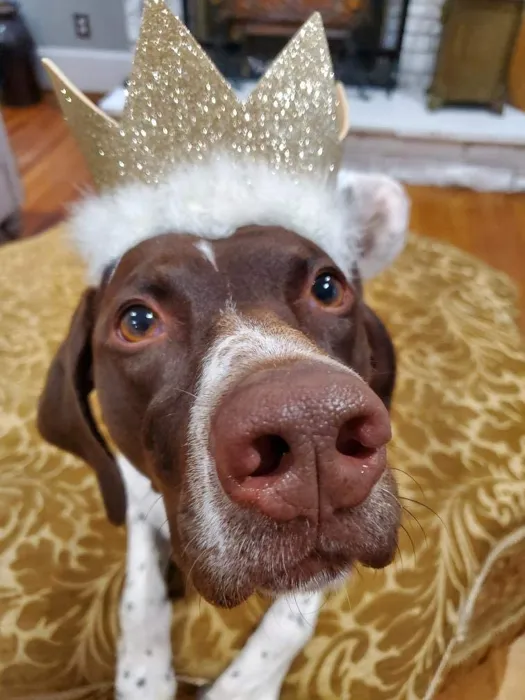 Huxley & Kent Party Crown Gold SM