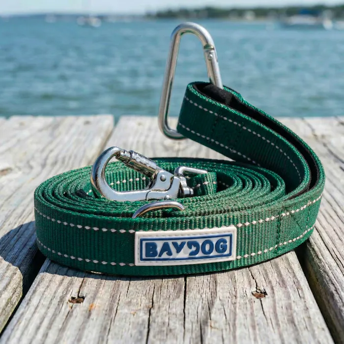 Baydog Hudson Dog Leash, Green, 6-ft lifestyle view