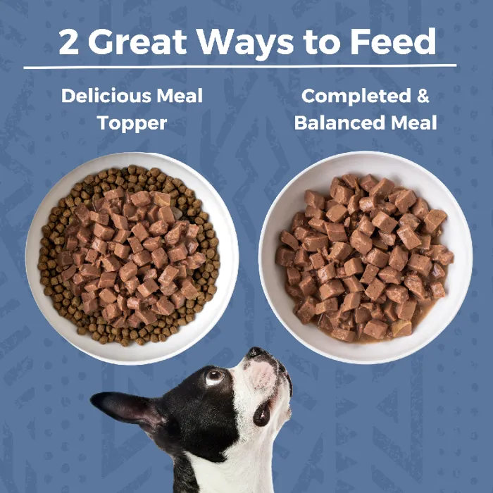 Koha Dog Can GF Rbt Stew 12.7-oz