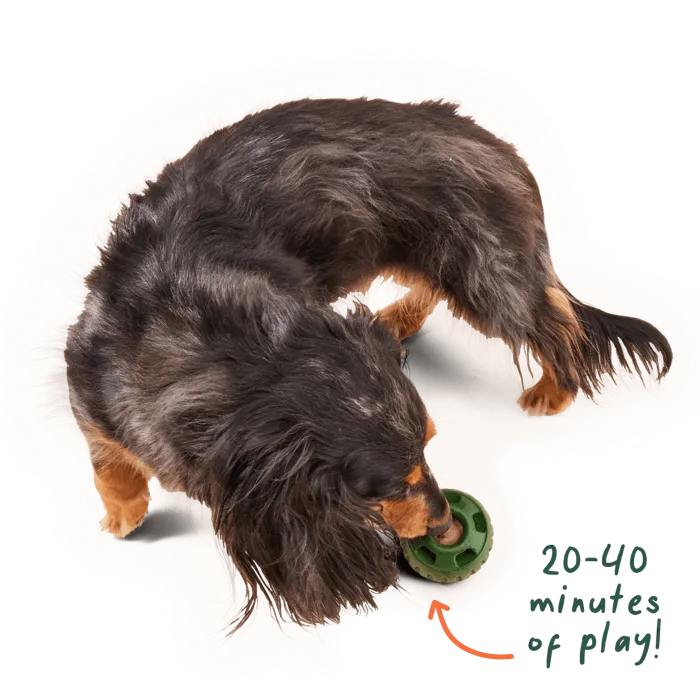 Woof Treat Pops Refill Calming SM