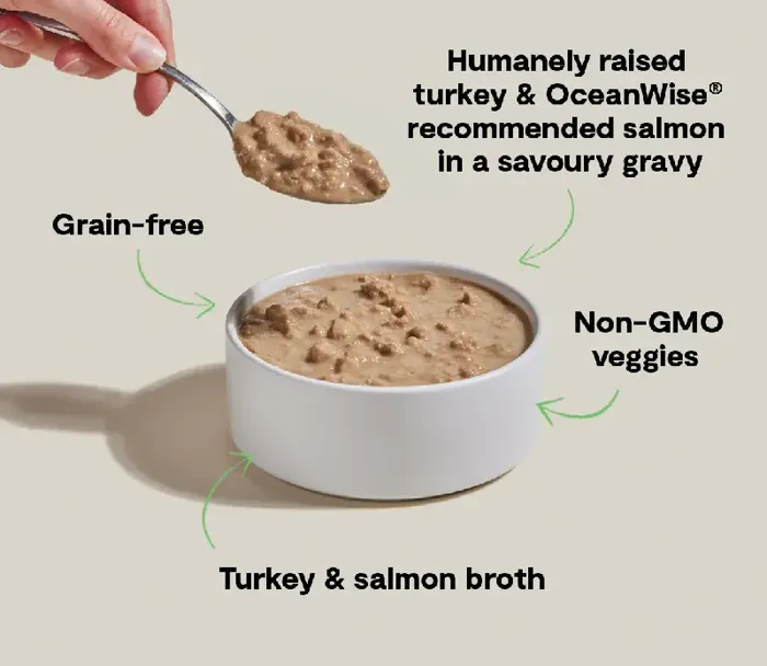 Open Farm Cat Can Gf Morsel Turkey Salmon 5.3 Oz 12/case
