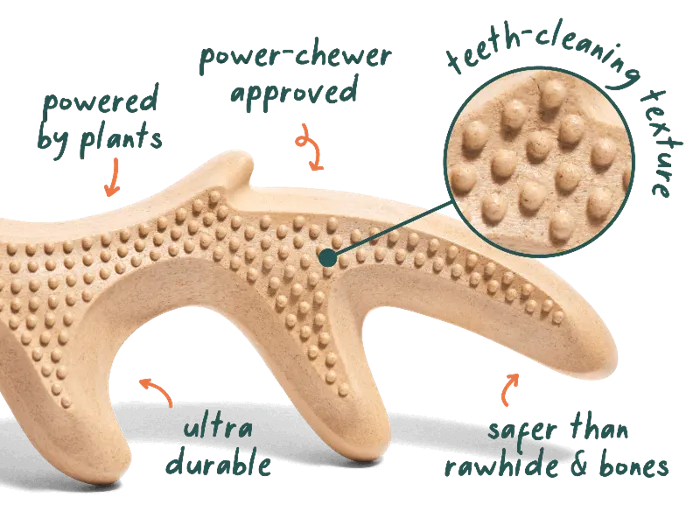 Woof Dog Toy Honestchew Antler LG