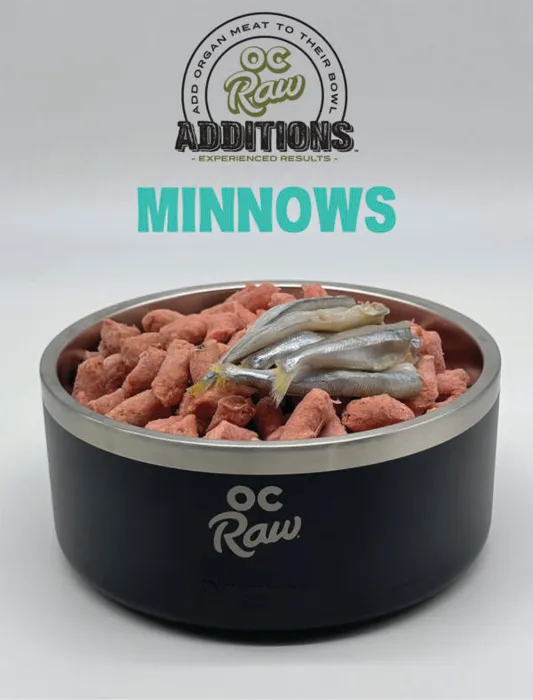 Oc Raw Dog Frozen Minnows 2-lbs