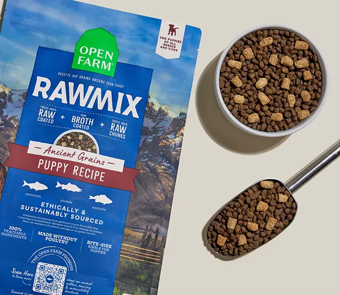 Open Farm RawMix Puppy Ancient Grains bag with kibble