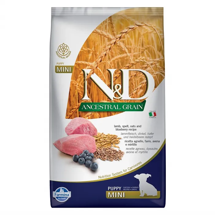 FA Puppy Mini Anc Grain Lamb Blueberry 5#