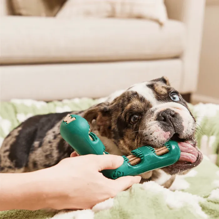 Woof Bite N Brush Toy LG