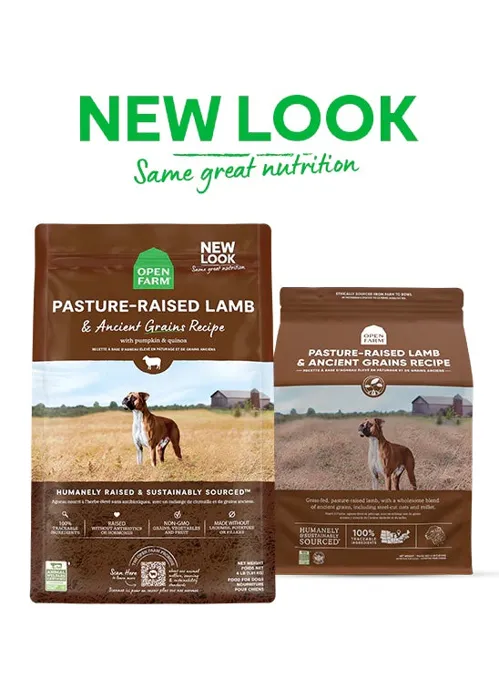 Open Farm Dog Dry Lamb Ancient Grain 22#