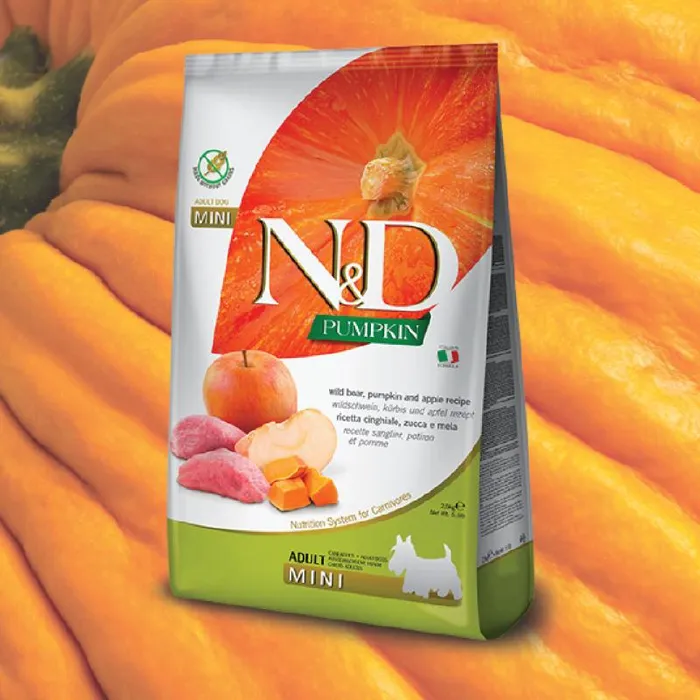 FA Mini PUMPKIN Boar Apple 15.4#