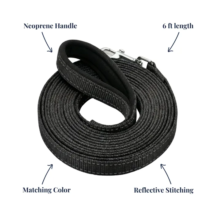 Baycat Harness + Leash Covert Black leash details