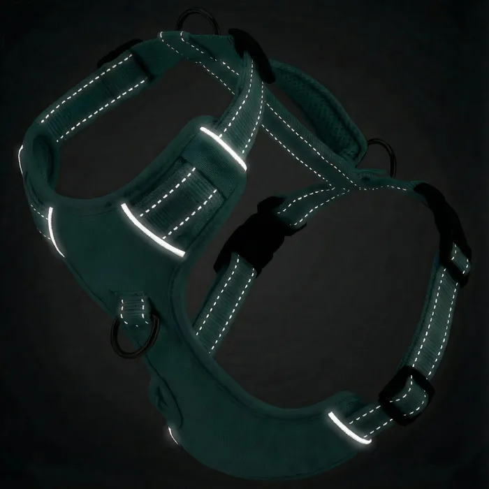 Bay Dog Chesapeake Harness Sea Foam Medium reflective view