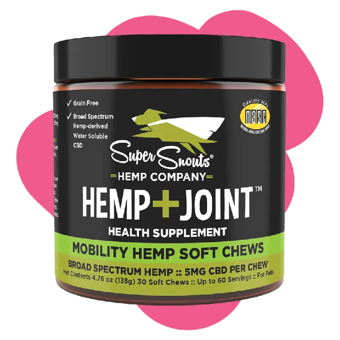 Shemp D Gf Brd Cbd Chw Jnt 60ct