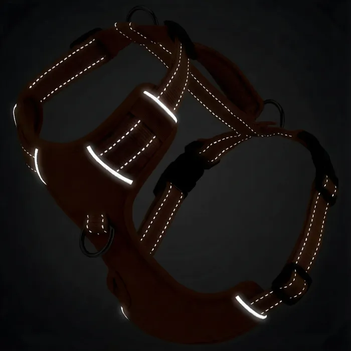 BAYDOG Chesapeake Bay Dog Harness blaze orange reflective view