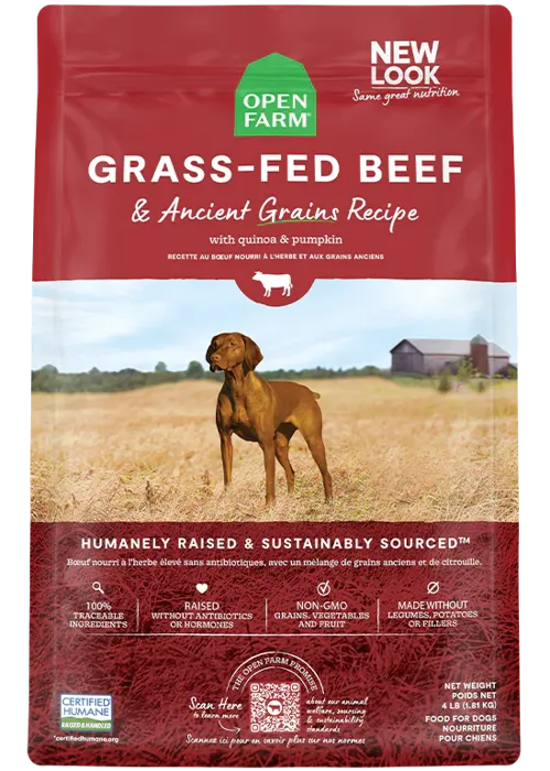OF Dog Dry Bf Ancient Grain 22#