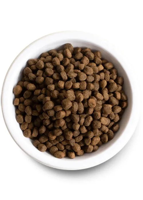 Open Farm Dog Dry Lamb Ancient Grain 22#