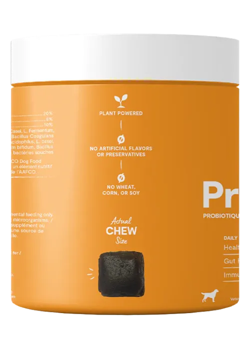 Open Farm Supplement Probiotic Chews 90-ct