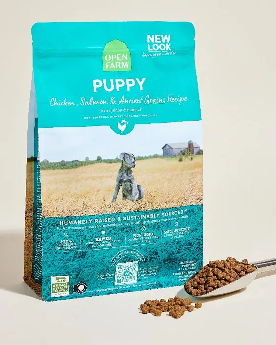 OF Puppy Ancient Grain Ckn/Slmn 4#