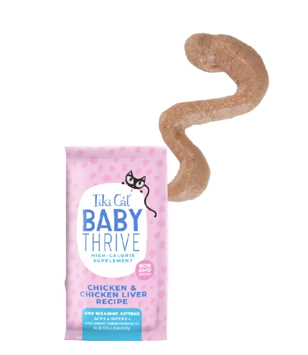 Tiki Cat Baby Chicken And Liver 5.6oz