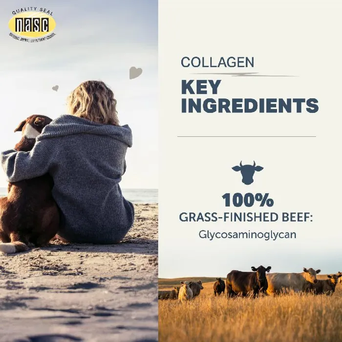 FLR Supplement Collagen