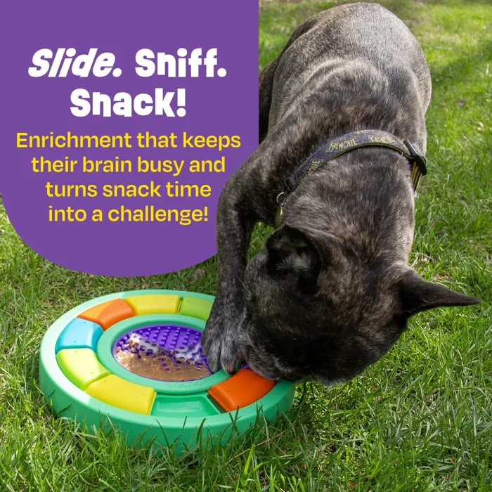 Brightkins Color Wheel Treat Puzzle Lick Mat dog lifestyle
