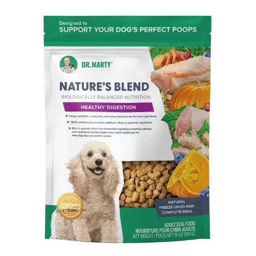 Dr Marty FD Nature's Blend Healthy Digestion 16oz