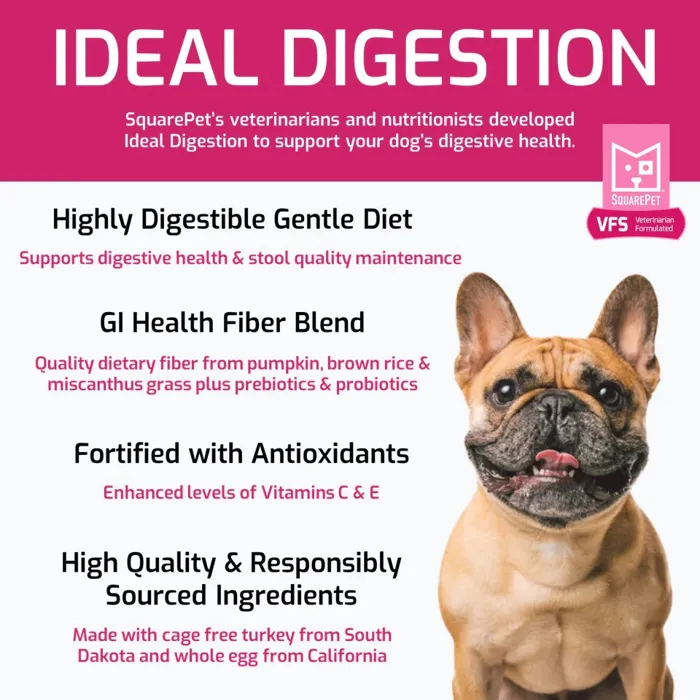 SquarePet Vet ted Ideal Digestion 22#