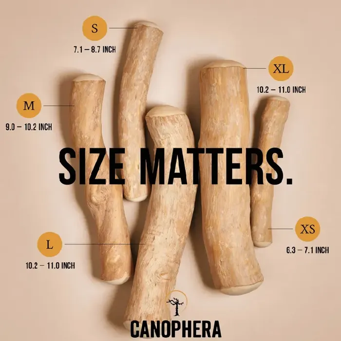 Canophera Coffee Wood Chew Xs
