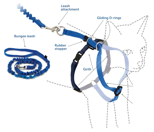 Harness & Bungee Leash Small Dusty Rose