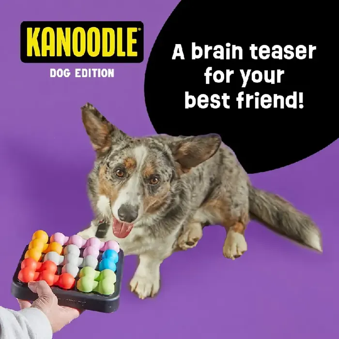 Brightkins Kanoodle Dog Edition Small puzzle with dog