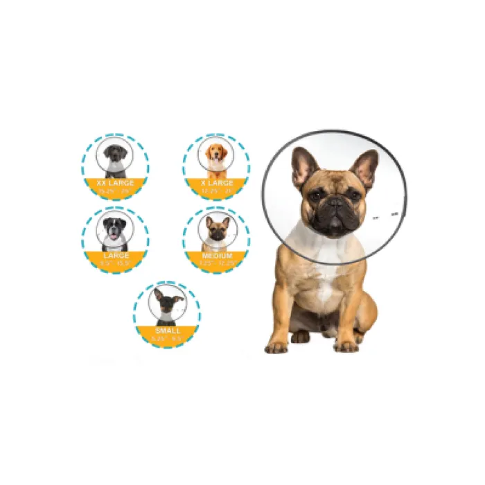 E-collar Clear Small 5959 Cs Tech 12/cs