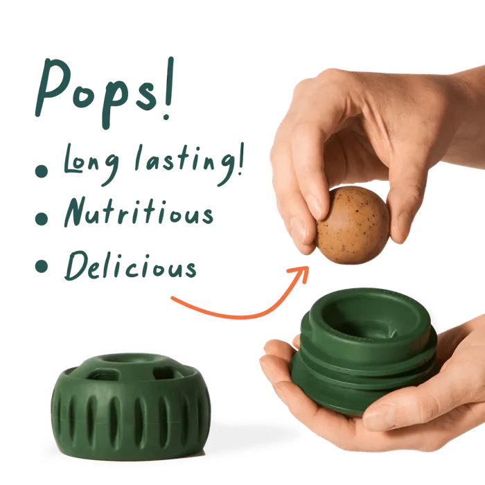 Woof Treat Pops Refill Chicken & Peanut Butter LG